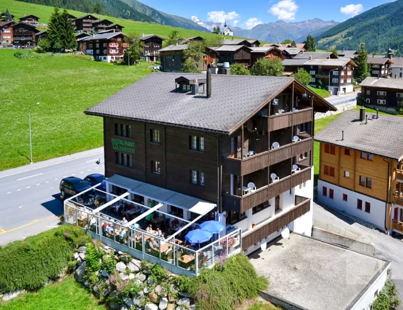 Hôtel dans un endroit sensationnel à Ritzingen, Valais (1)