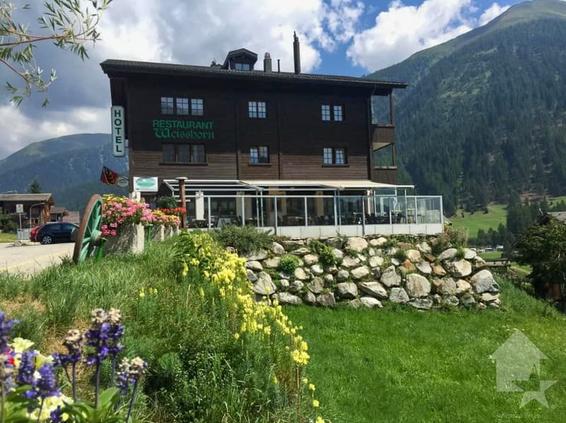 Hotel in a sensational location in Ritzingen, Valais (3)