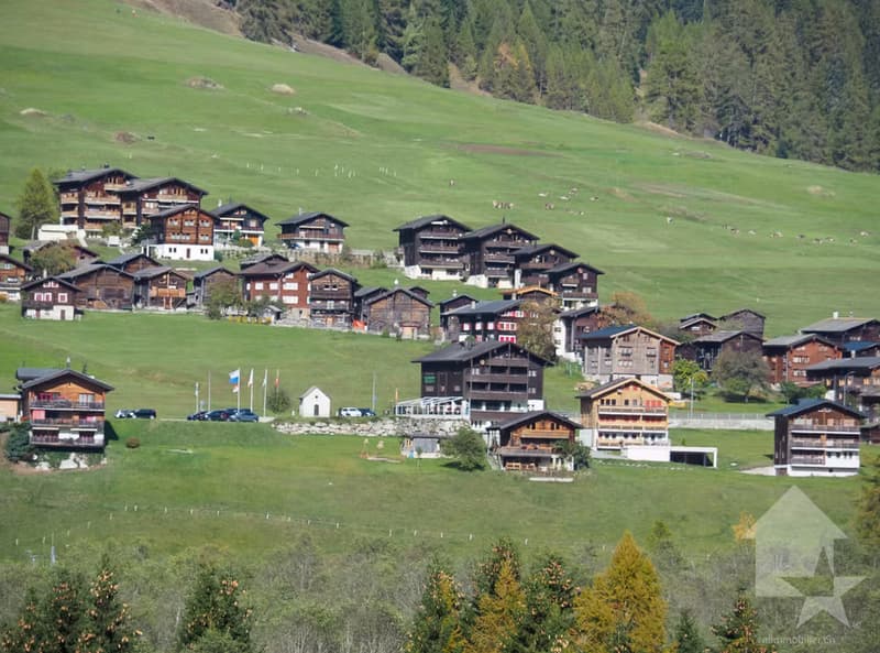 Hôtel dans un endroit sensationnel à Ritzingen, Valais (2)