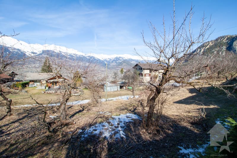 Magnifique villa contiguë de 4.5 pièces sur la commune de Vex (7)