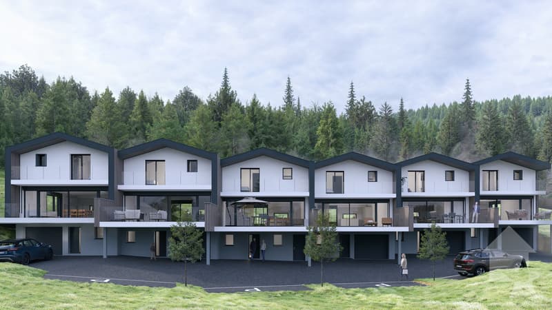 Magnifique villa contiguë de 4.5 pièces sur la commune de Vex (1)