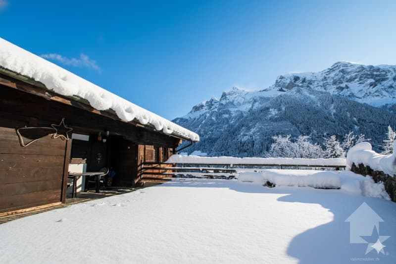Spacious chalet in the heart of nature (12)