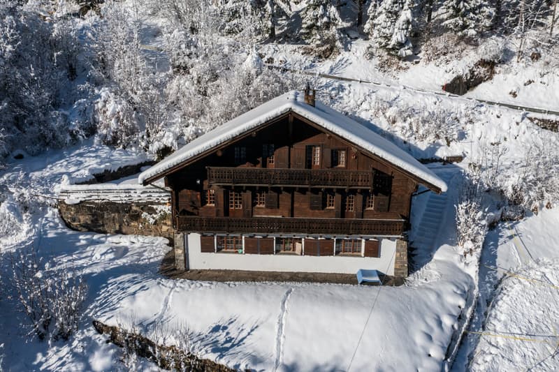 Spacious chalet in the heart of nature (13)