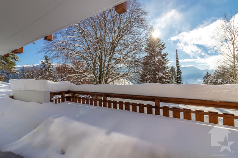 Magnifique appartement neuf de 3.5 pièces à côté d'une forêt (9)