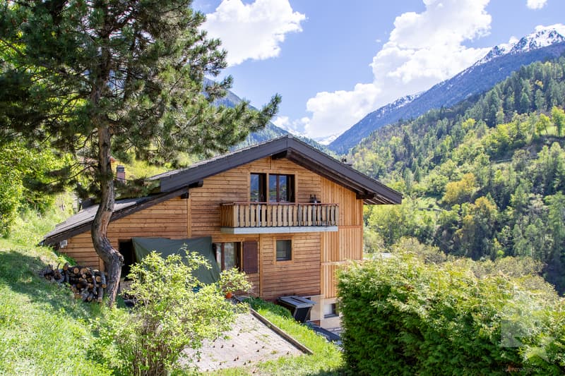 Spacieuse villa de 7.5 pièces, 245 m² + garage/atelier au rez, 137 m² (2)
