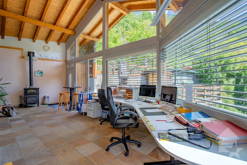 Spacieuse villa de 7.5 pièces, 245 m² + garage/atelier au rez, 137 m² (4)