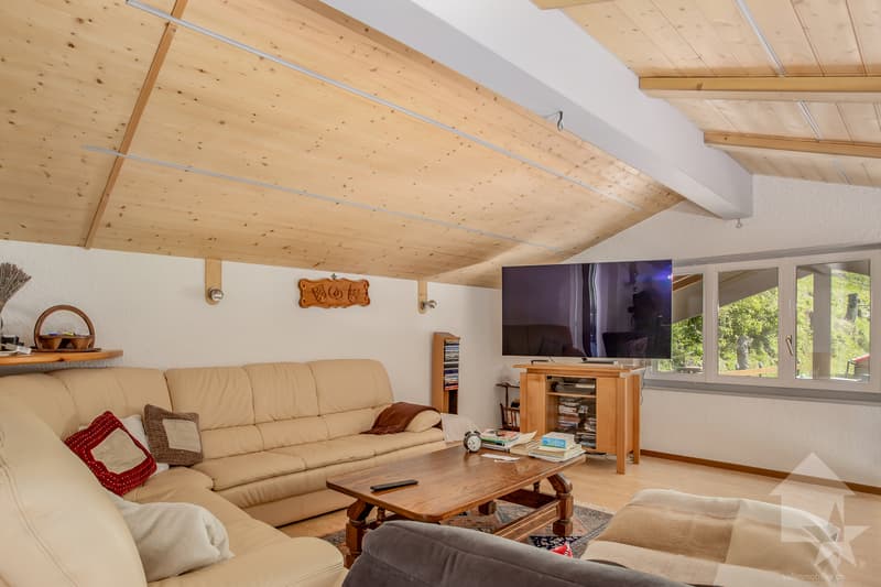 Spacieuse villa de 7.5 pièces, 245 m² + garage/atelier au rez, 137 m² (10)