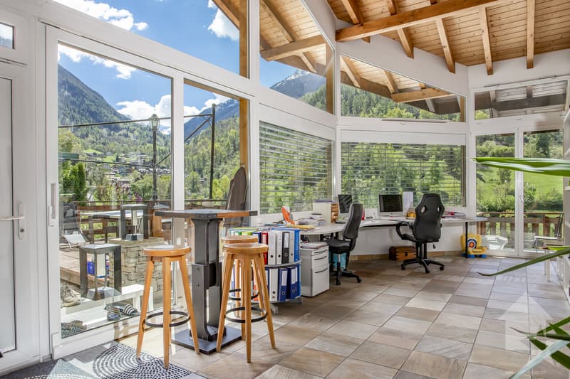 Spacieuse villa de 7.5 pièces, 245 m² + garage/atelier au rez, 137 m² (3)