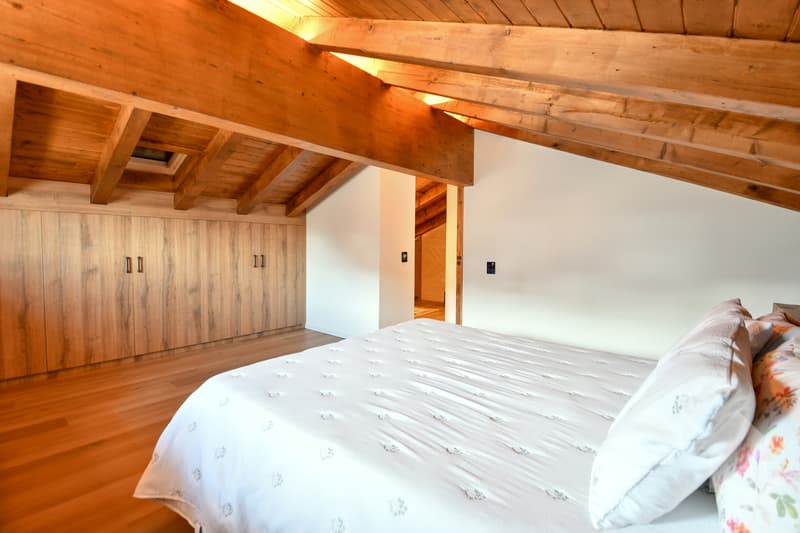 Magnificent fully renovated chalet (8)