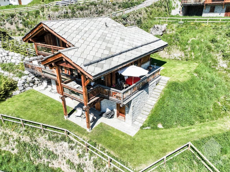 Magnifique chalet récent de haut standing (3)