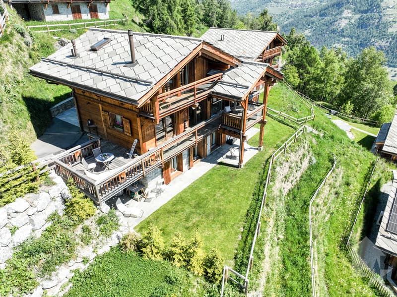 Magnifique chalet récent de haut standing (2)