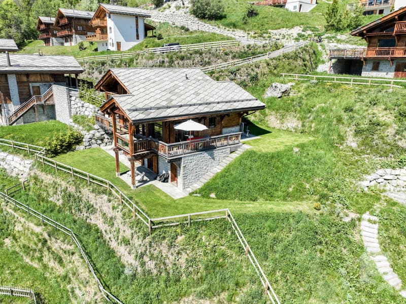 Magnifique chalet récent de haut standing (4)