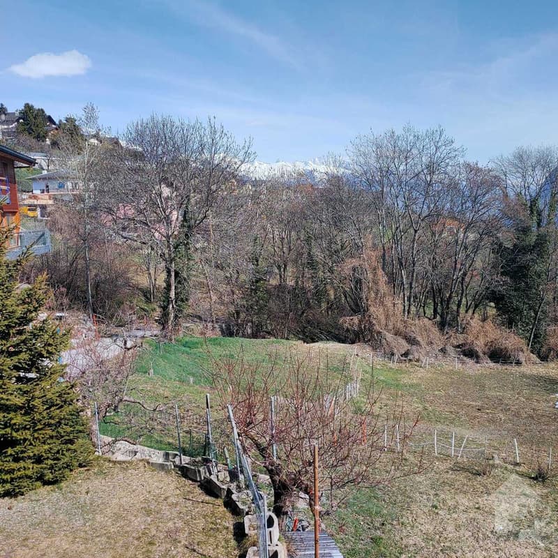Magnifique parcelle au centre du village de Chermignon-d'en-Haut (8)