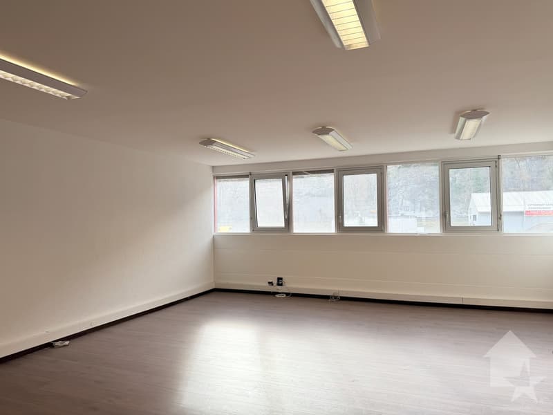 Vente de surface commerciale à Sion (1)