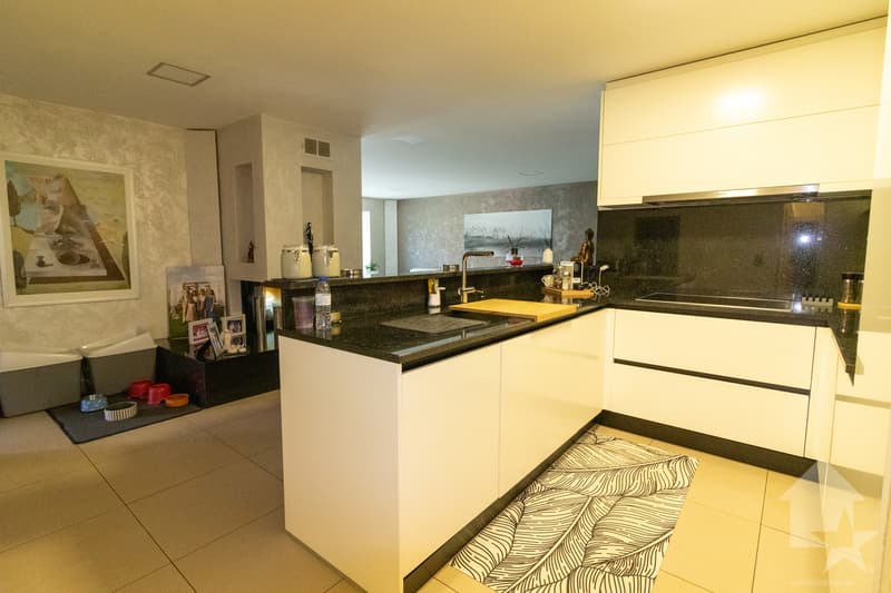 Magnifique villa en PPE avec grand jardin et sous-sol (9)
