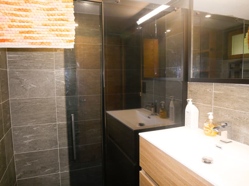 Salle de douche rez-inférieur