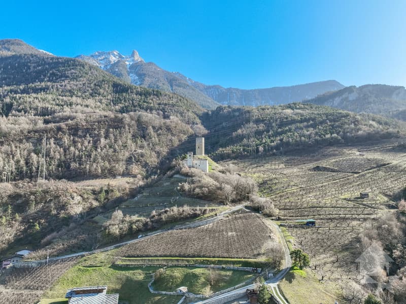 Grand terrain à construire dans le village de Saxon (4)