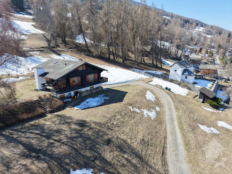 Chalet bénéficiant d'une situation privilégiée (13)