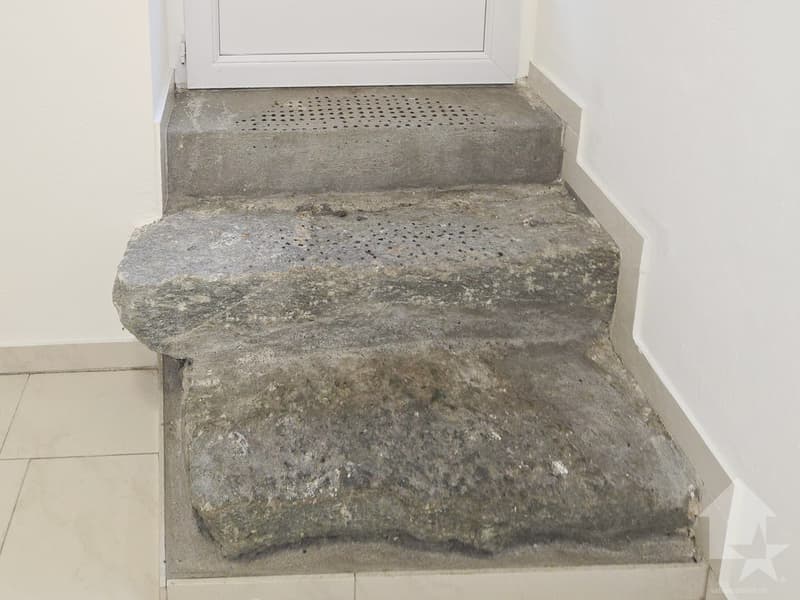 Appartement de 2.5 pièces au centre du village de Vex (2)