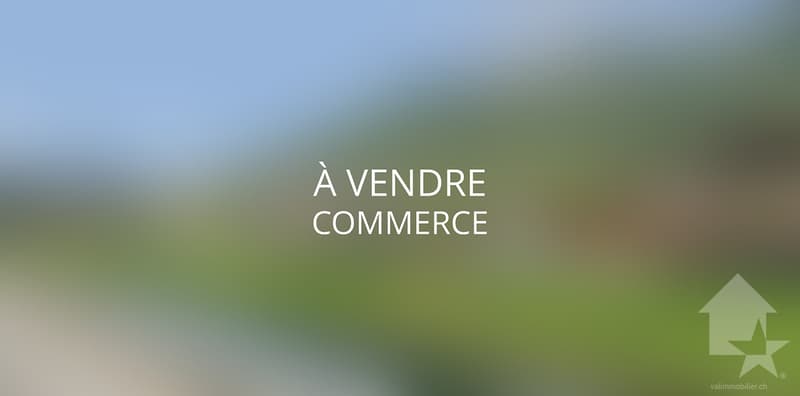 Commerce à vendre au centre de Fully (1)