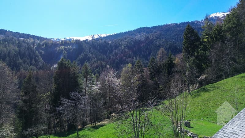 Superbe chalet de 4.5 pièces sur un terrain de 6'876 m2 (10)