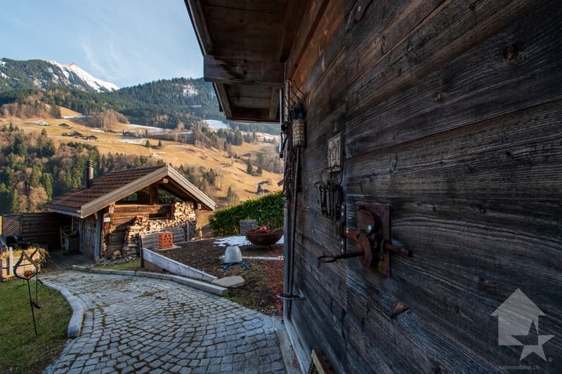Val-d'Illiez, magnificent chalet with 3 apartments (13)