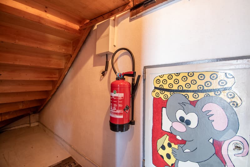 Vérossaz, chalet 3.5 pièces (9)