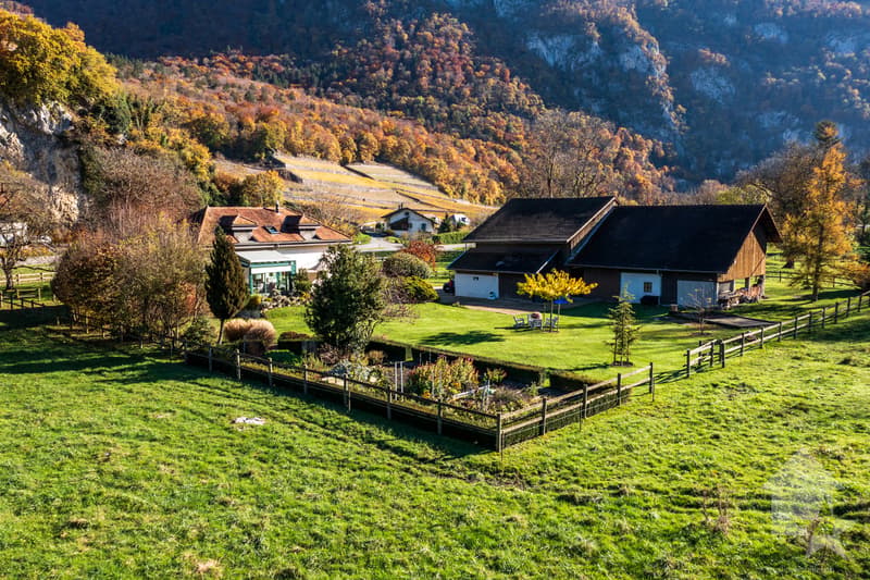 Chablais vaudois - villa et rural idéal pour chevaux (3)