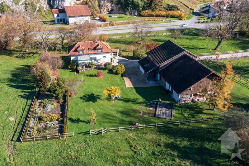 Chablais vaudois - villa et rural idéal pour chevaux (2)