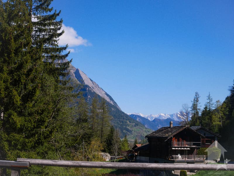 Le chalet + la vue