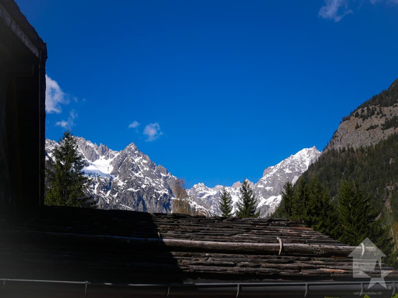 La vue