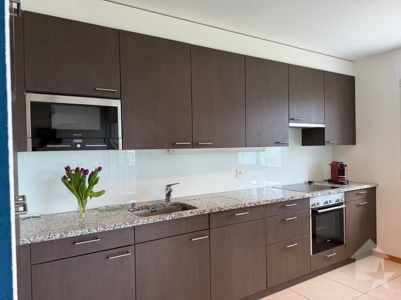 Splendide appartement de 4.5 pièces avec vue sur l'arc alpin ! (5)