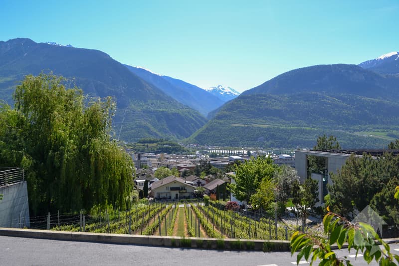 Magnifique parcelle surplombant Sierre dans zone villa de 1'099 m2 (5)