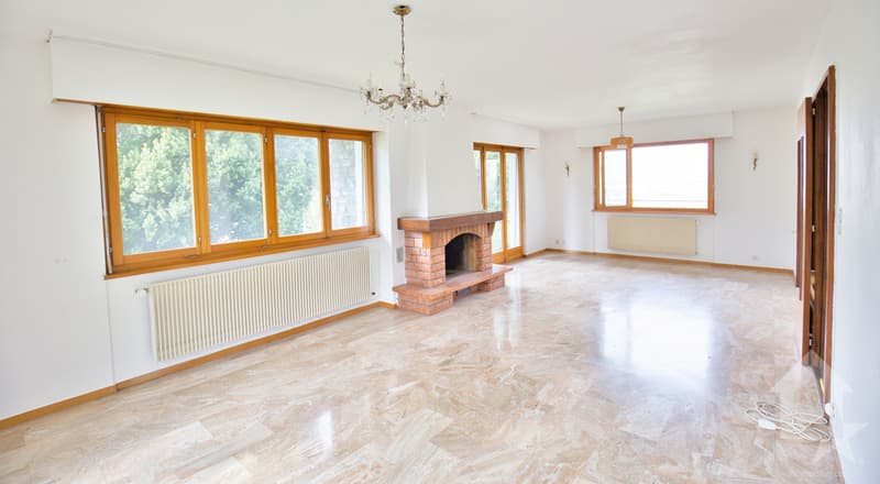 Villa traditionnelle avec grand sous-sol implantée sur une grande parcelle de 1'075 m2 (11)