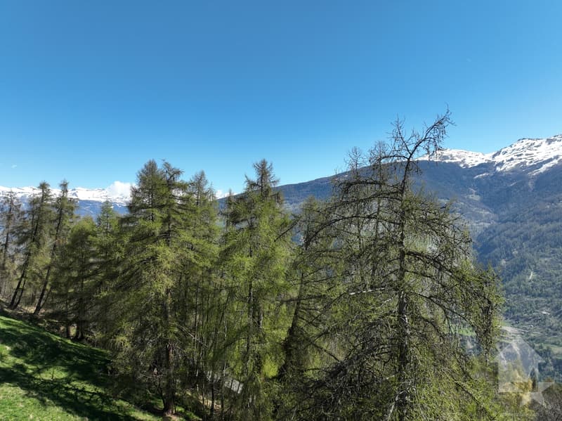 Terrain aux Masses avec vue dégagée (5)