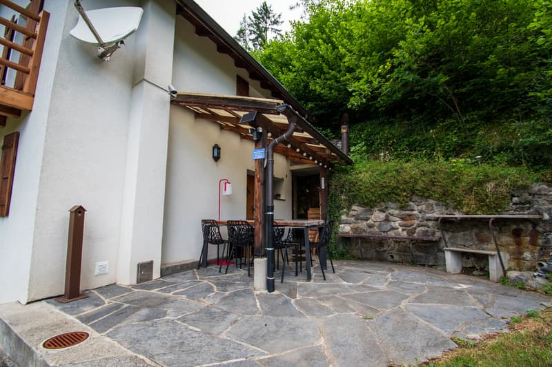 Magnificent renovated chalet on a 3'932 m2 plot (3)