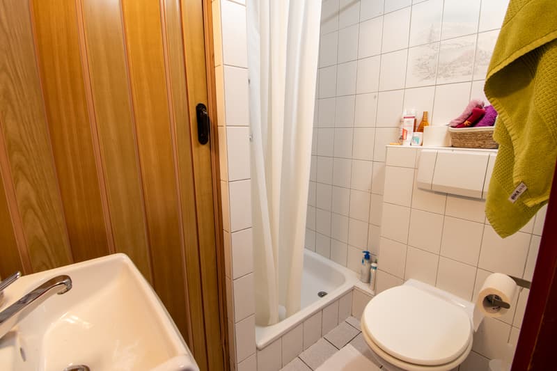 Magnificent renovated chalet on a 3'932 m2 plot (9)