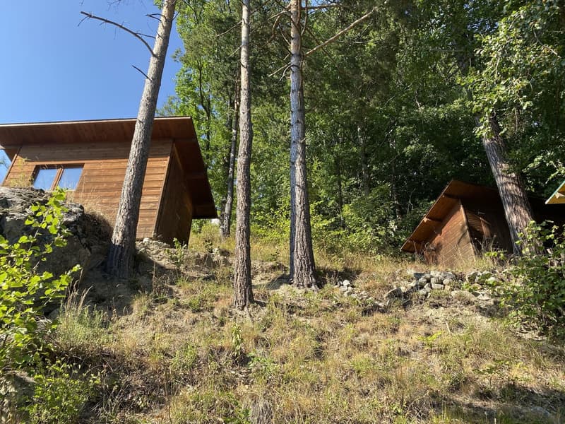 Magnificent renovated chalet on a 3'932 m2 plot (5)