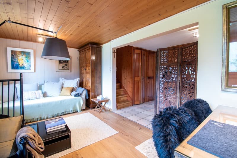 Magnificent renovated chalet on a 3'932 m2 plot (7)