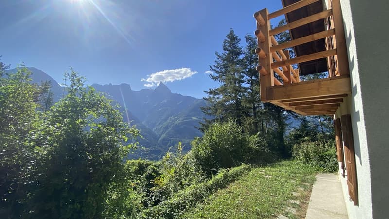 Magnificent renovated chalet on a 3'932 m2 plot (4)