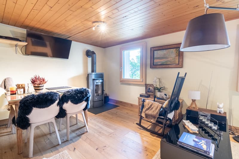 Magnificent renovated chalet on a 3'932 m2 plot (6)
