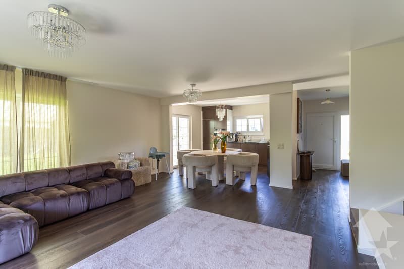 Magnifique villa 6.5 pièces rénovée avec studio et grand jardin (6)