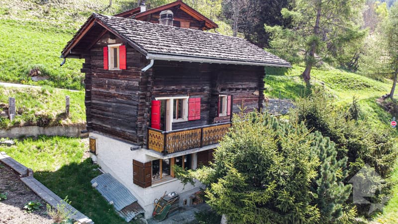 Charmant chalet sur trois niveaux avec vue exceptionnelle (1)