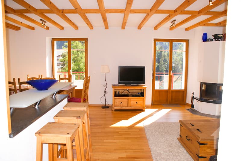 Magnificent attic apartment with breathtaking views of the lake! (1)