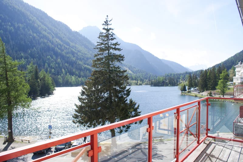 Magnificent attic apartment with breathtaking views of the lake! (2)