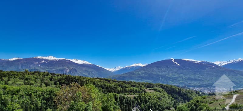 Villa de 5.5 pièces en bordure de vignes, vue splendide, calme, ensoleillé (2)