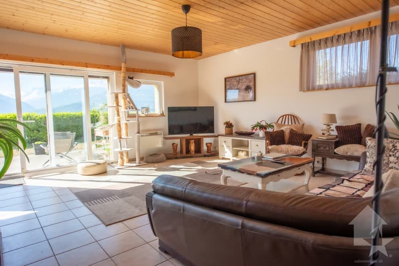 Villa de 5.5 pièces en bordure de vignes, vue splendide, calme, ensoleillé (4)