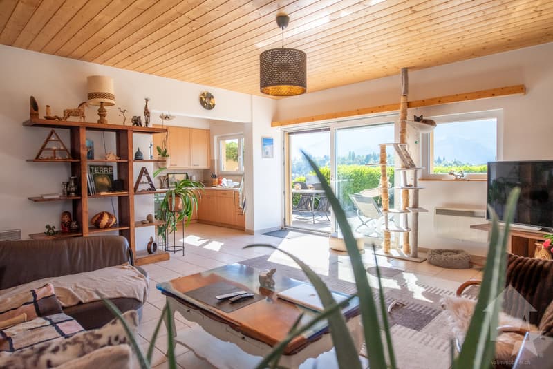 Villa de 5.5 pièces en bordure de vignes, vue splendide, calme, ensoleillé (5)