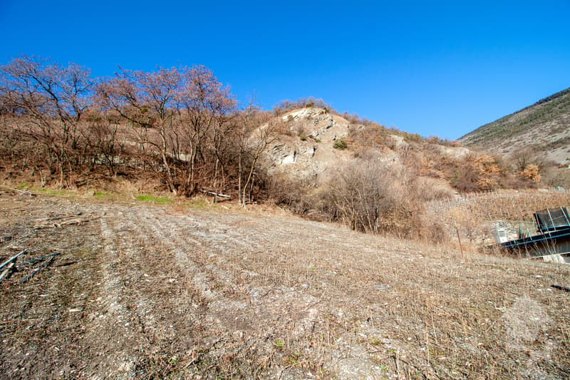 ! Special investor ! 1000 m2 plot with building permit (8)