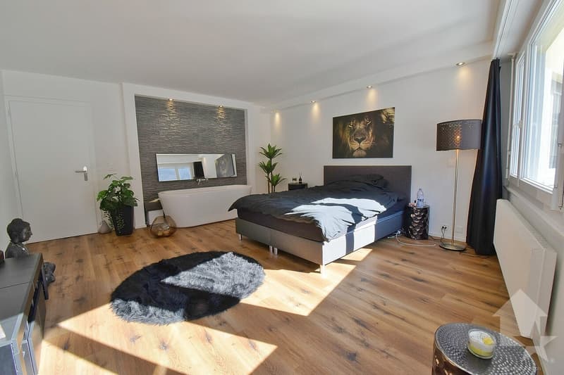 Joli 4.5 pièces, complètement rénové avec une grande terrasse (6)